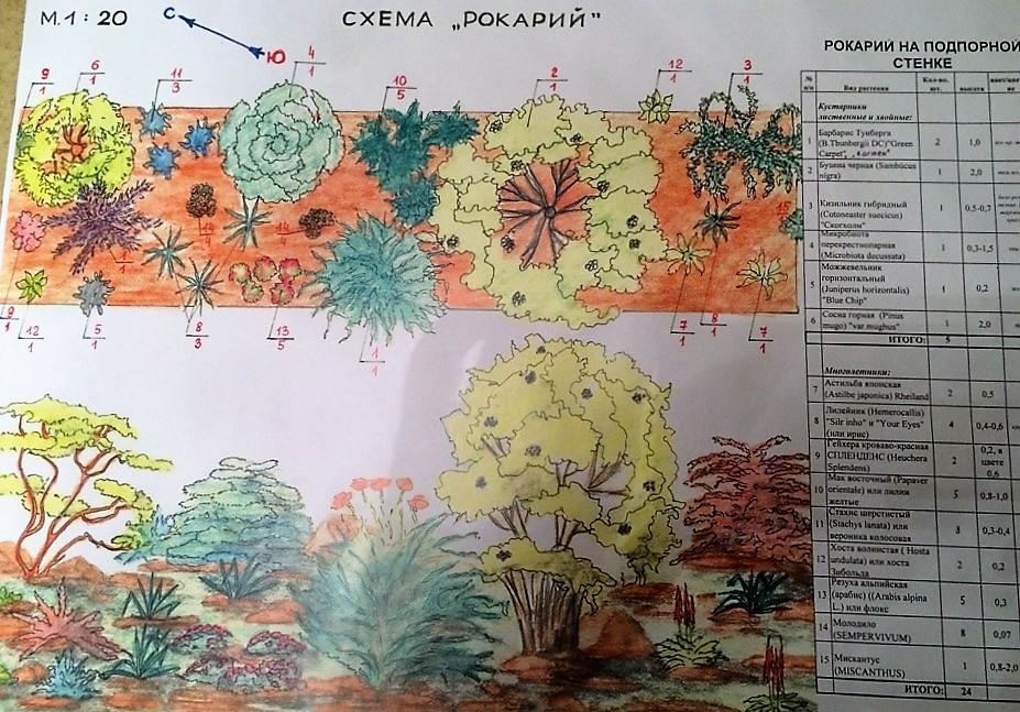 Миксбордер на подпорной стенке. Миксбордер на подпорной стенке.