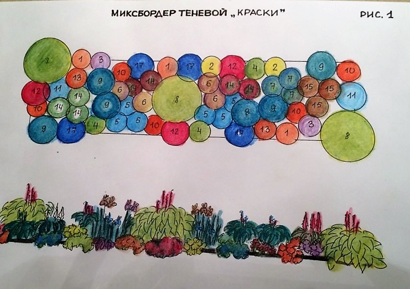 Теневой миксбордер "Краски" Ирина Андреева Теневой миксбордер "Краски" Ирина Андреева