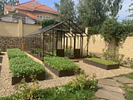 Декоративный огород, теплица. Фирсановка. Солнечногорский р-н.