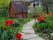 Лесные поляны  Солнечногорский р-н